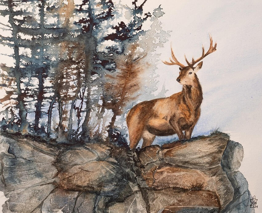 Prince des Laurentides